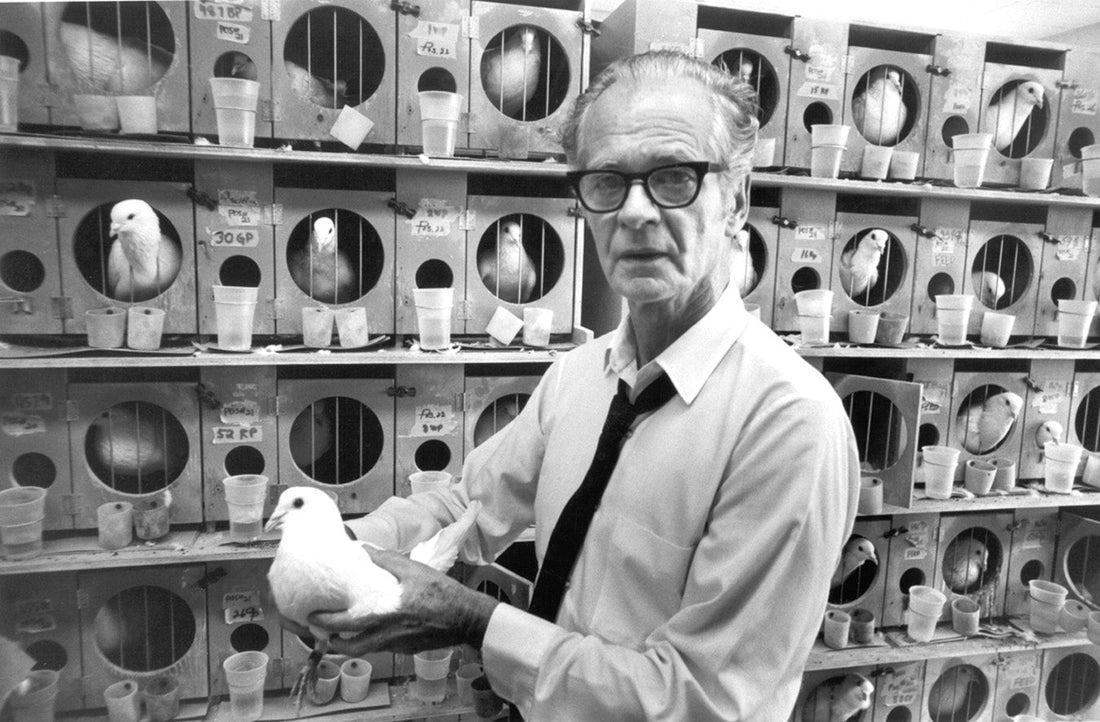 ¿Sabías que B. F. Skinner registró más de 70.000 horas de experimentos?