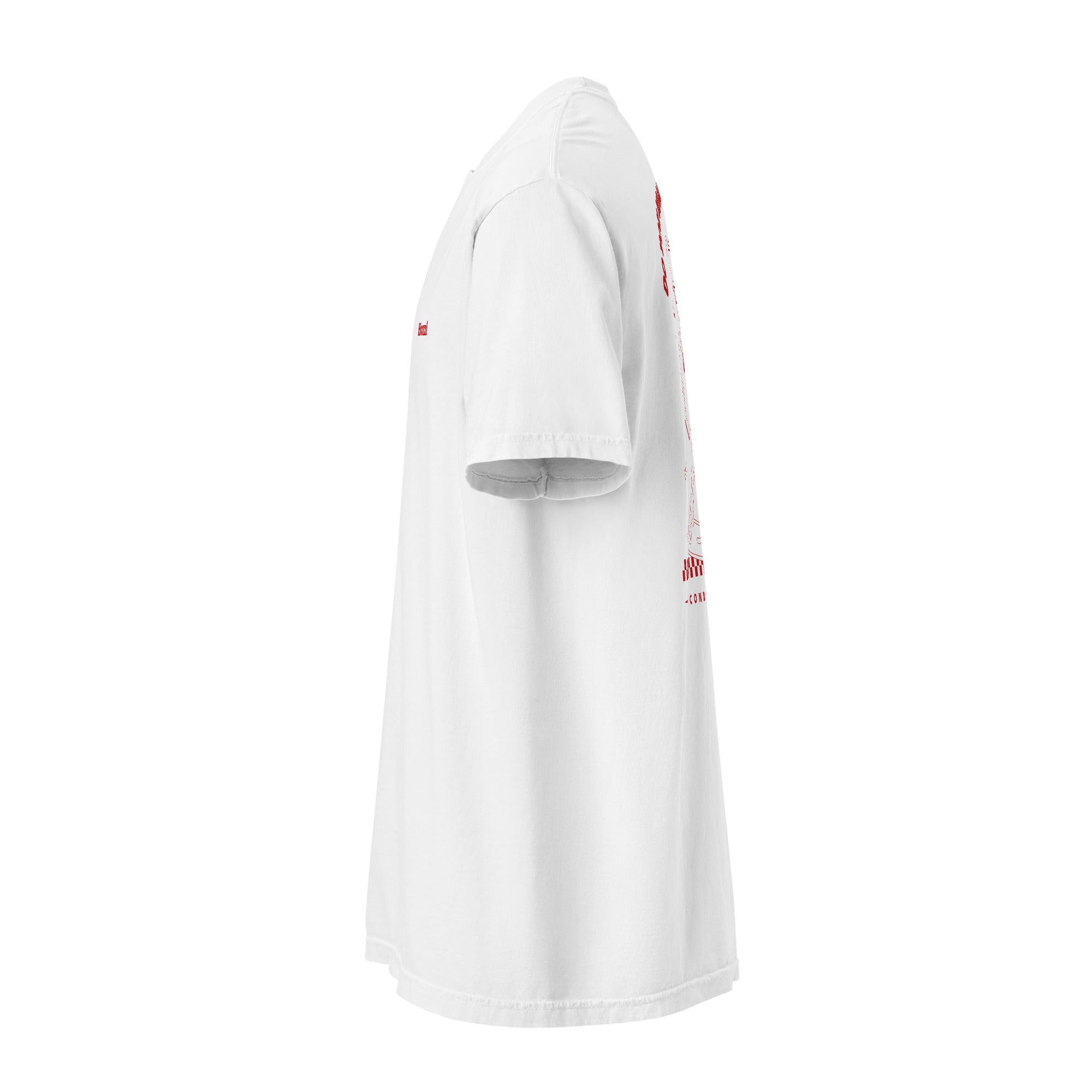 Camiseta gruesa de moda con estética urbana y moderna. Diseño inspirado en psicología y con significado profundo. Perfecta para expresar identidad y juventud.