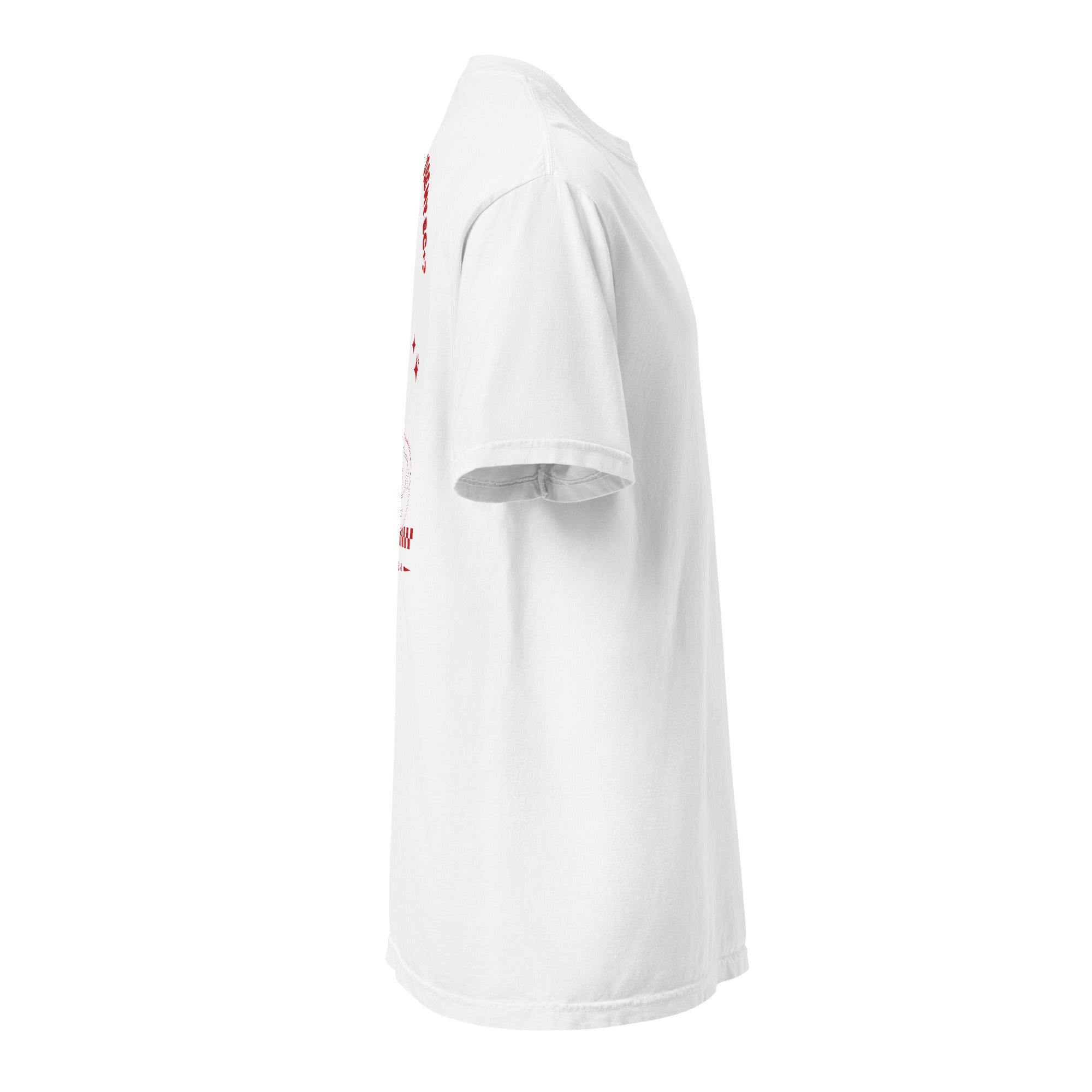 Camiseta gruesa de moda con estética urbana y moderna. Diseño inspirado en psicología y con significado profundo. Perfecta para expresar identidad y juventud.